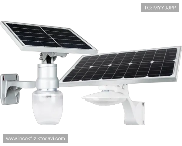 欧博真人官方网站多平台登录方式与安全保障措施 欧博真人官方网站多平台登录方式与安全保障措施