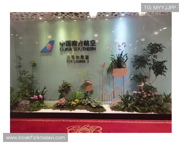 ag贵宾厅官网全面介绍贵宾厅的服务项目与特色体验 ag贵宾厅官网全面介绍贵宾厅的服务项目与特色体验