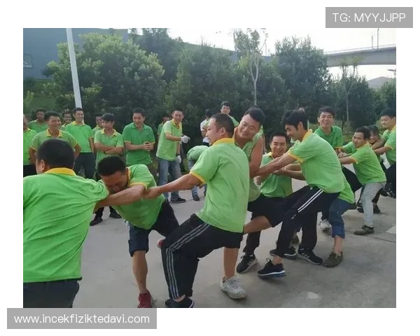 欧博真人足球电脑版详细玩法介绍与技巧分享，助您轻松赢得比赛胜利